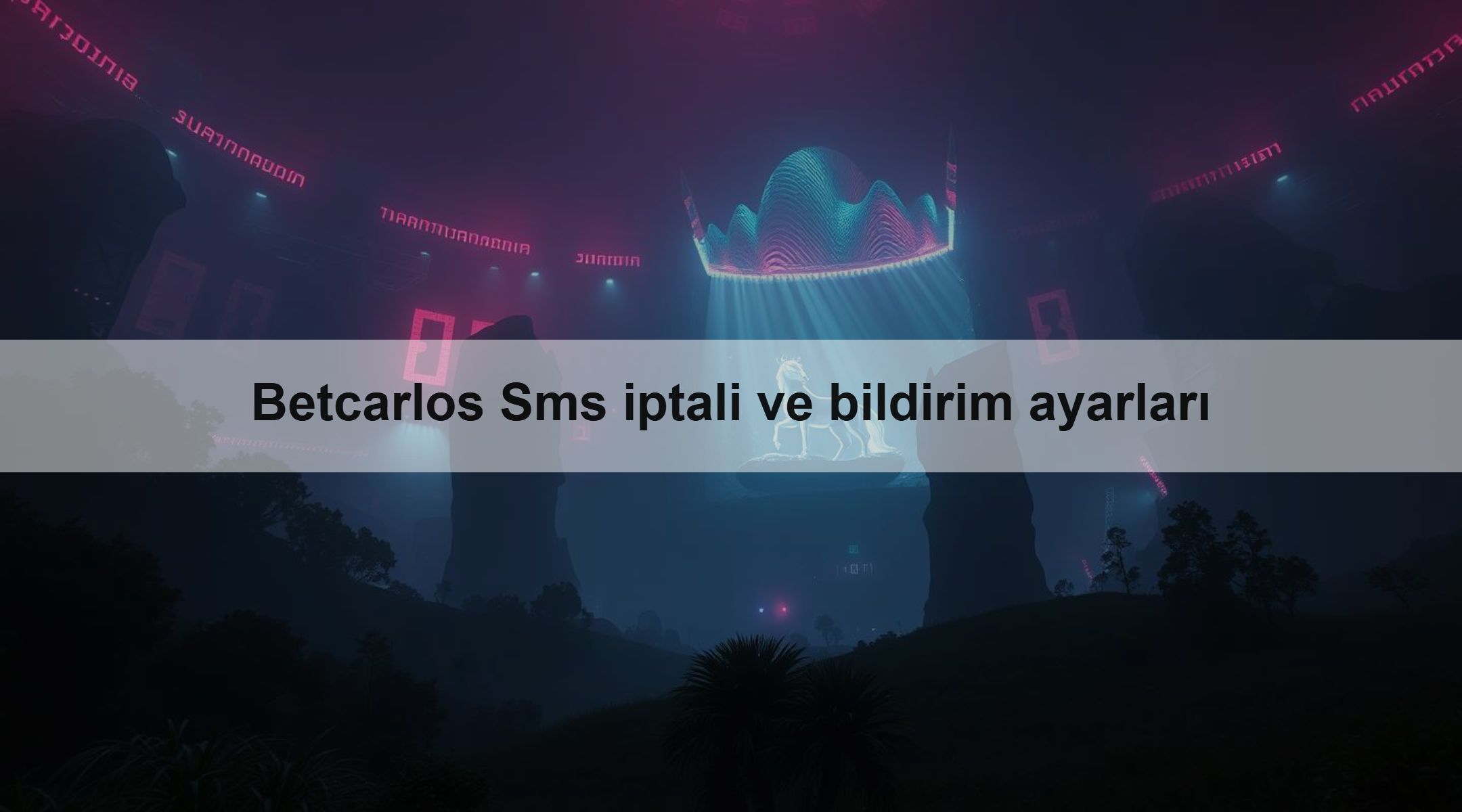 Betcarlos Sms iptali ve bildirim ayarları